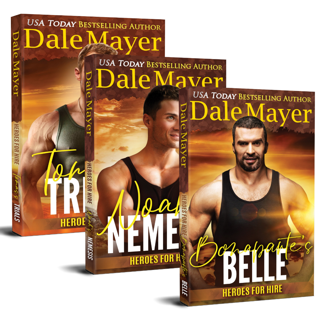 Heroes for Hire: Book Bundles 25-27