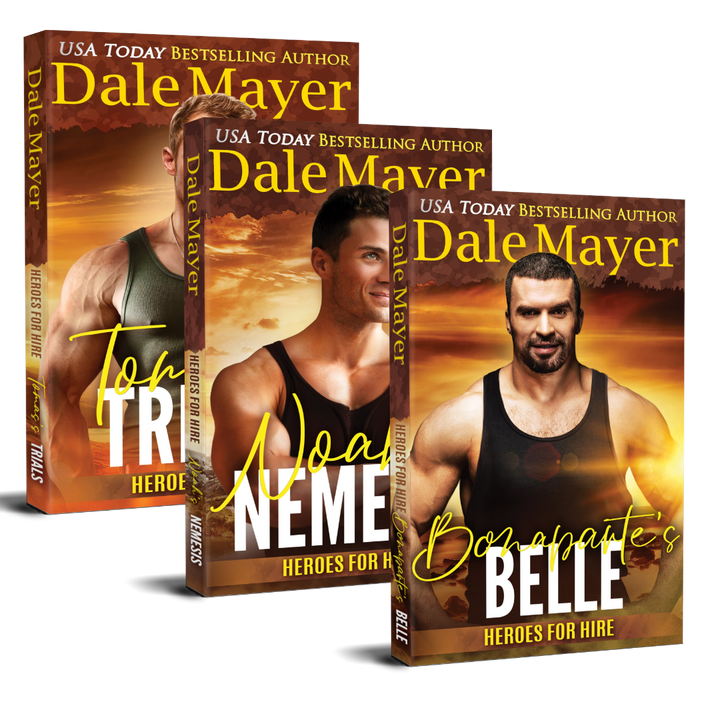 Heroes for Hire: Book Bundles 25-27