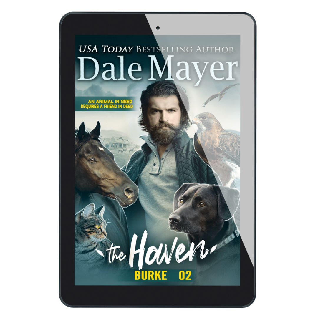 Burke: The Haven Book 2