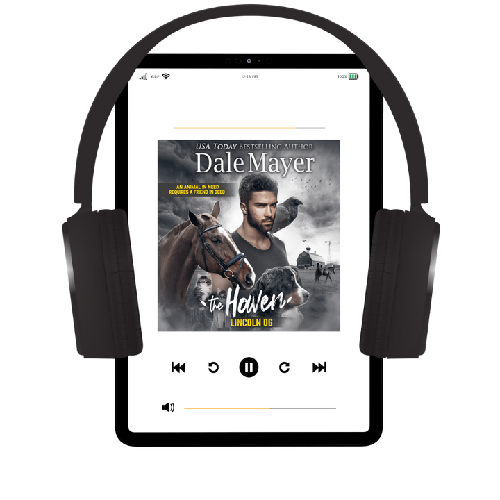 Lincoln: The Haven Book 6 (Pre-Order)