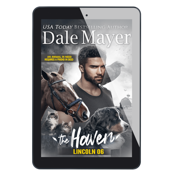 Lincoln: The Haven Book 6 (Pre-Order)