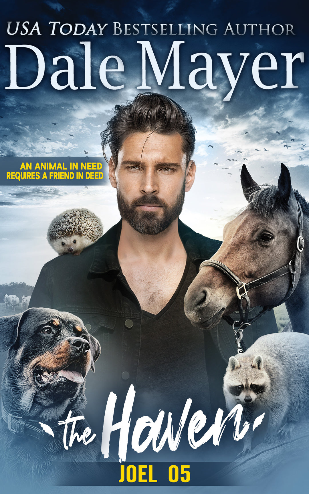 Joel: The Haven Book 5 (Pre-Order)