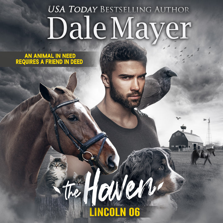 Lincoln: The Haven Book 6 (Pre-Order)