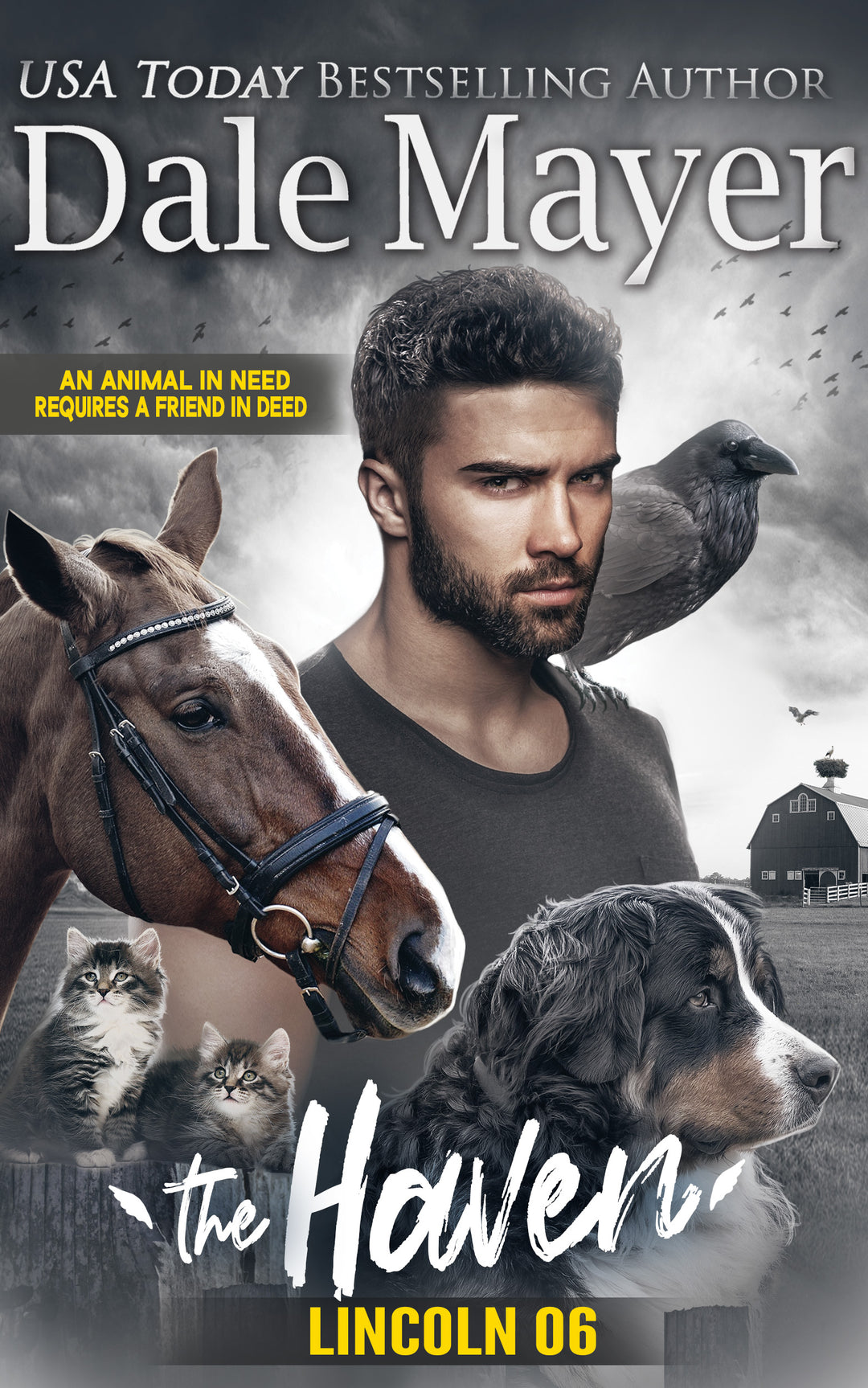 Lincoln: The Haven Book 6 (Pre-Order)