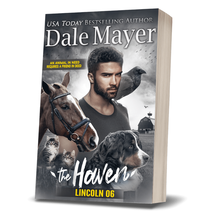 Lincoln: The Haven Book 6
