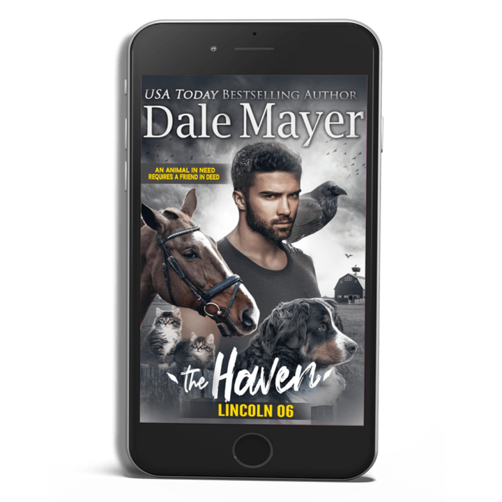 Lincoln: The Haven Book 6 (Pre-Order)