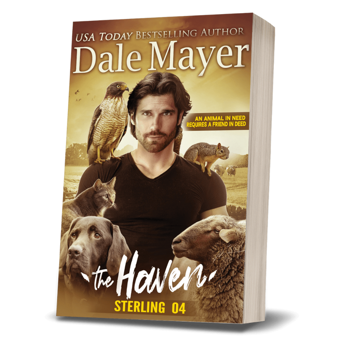 Sterling: The Haven Book 4