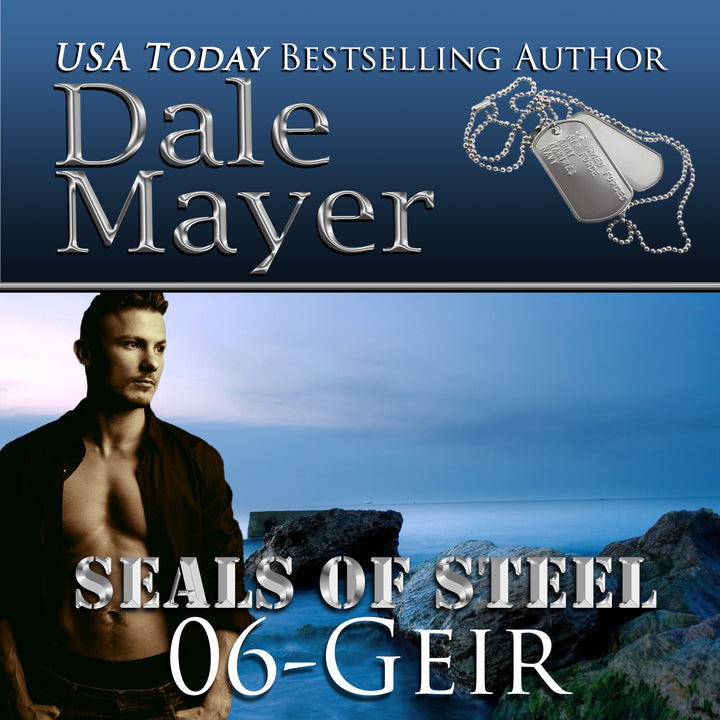Geir: SEALs of Steel Book 6